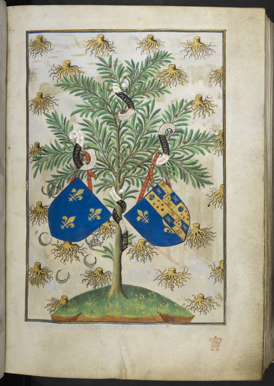 Dodaj Ms 18850 f.15r Strona herbarza, z Book of Hours (The Bedford Hours) c.1410-30 (tusz, kolor i złoto na welinie) autorstwa French School