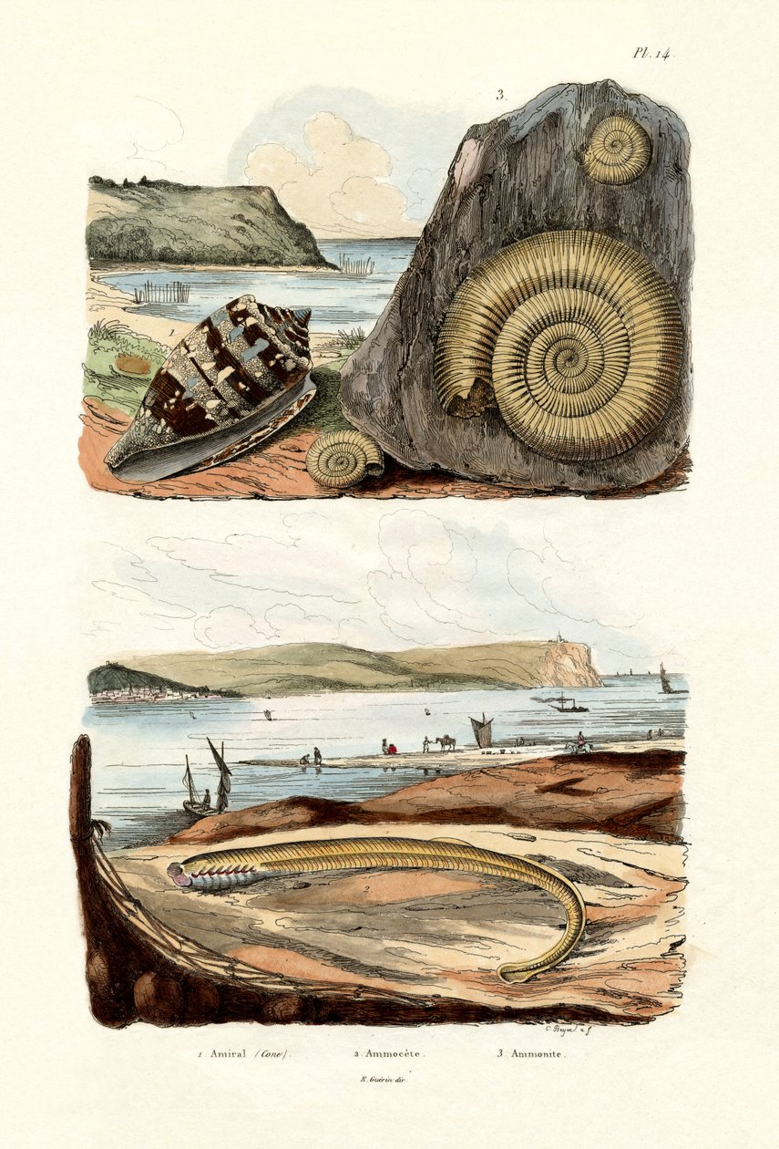 Stożek admirała, 1833-39 autorstwa French School