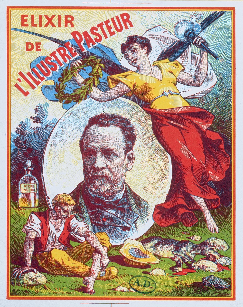 Reklama Eliksiru Znamienitego Pastora, 1900 autorstwa French School