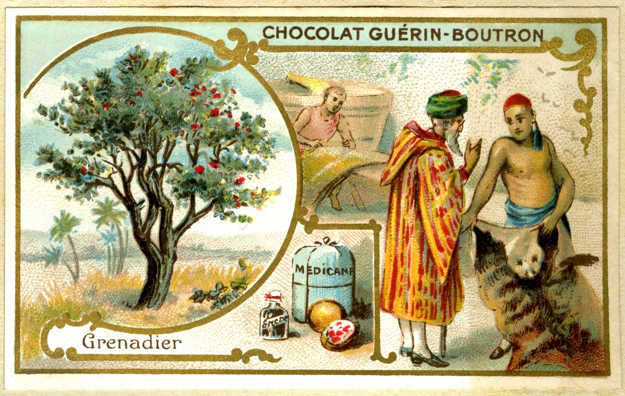 Chromolitografia reklamowa czekoladek Guérin Boutron (chromolitografia) autorstwa French School