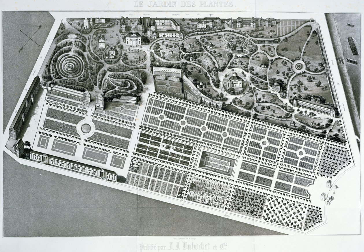 Widok z lotu ptaka na plan Jardin des Plantes w Paryżu, 1842 r. autorstwa French School
