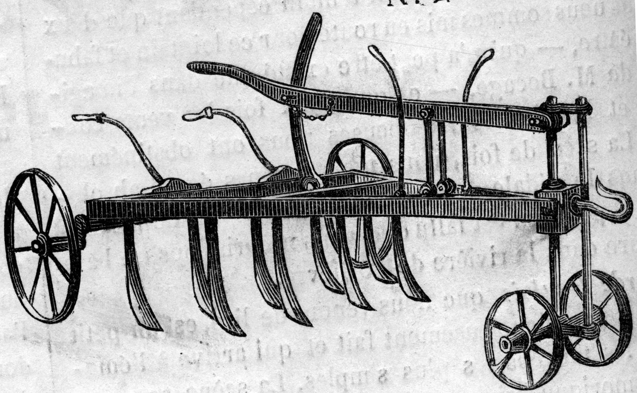 Maszyna rolnicza: wertykulator ekstirpator autorstwa French School