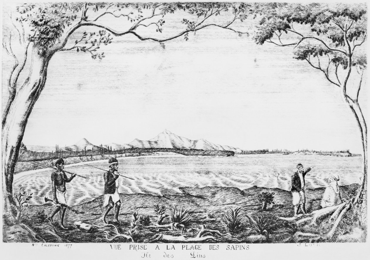 Album Isle of Pines, widok z plaży Pines, 1877 autorstwa French School