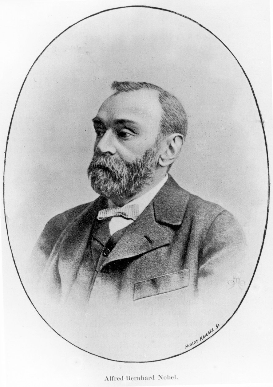 Alfred Bernhard Nobel autorstwa French School