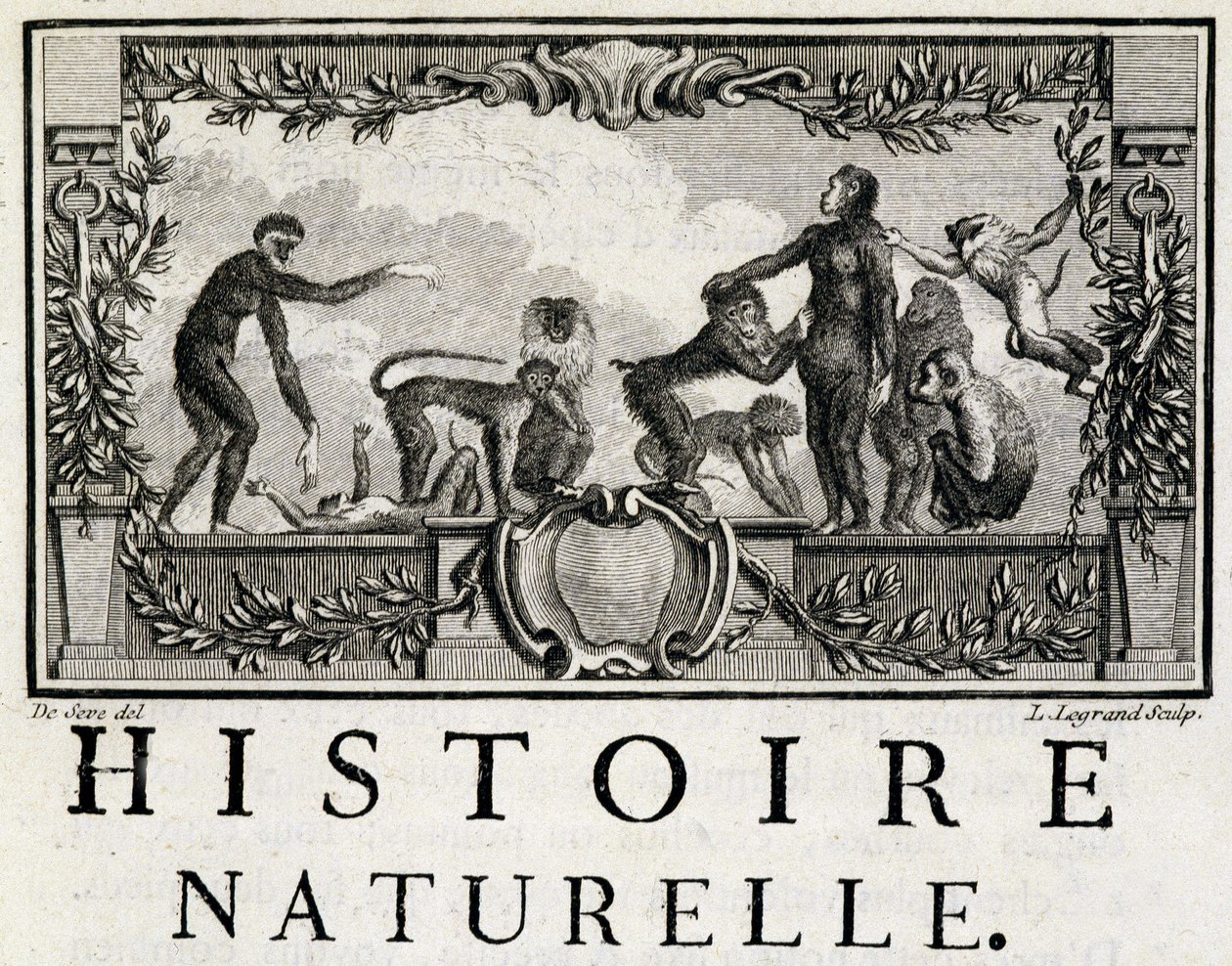 Alegoria historii naturalnej na małpach - w „Historii naturalnej, ogólnej i szczegółowej” Buffon autorstwa French School