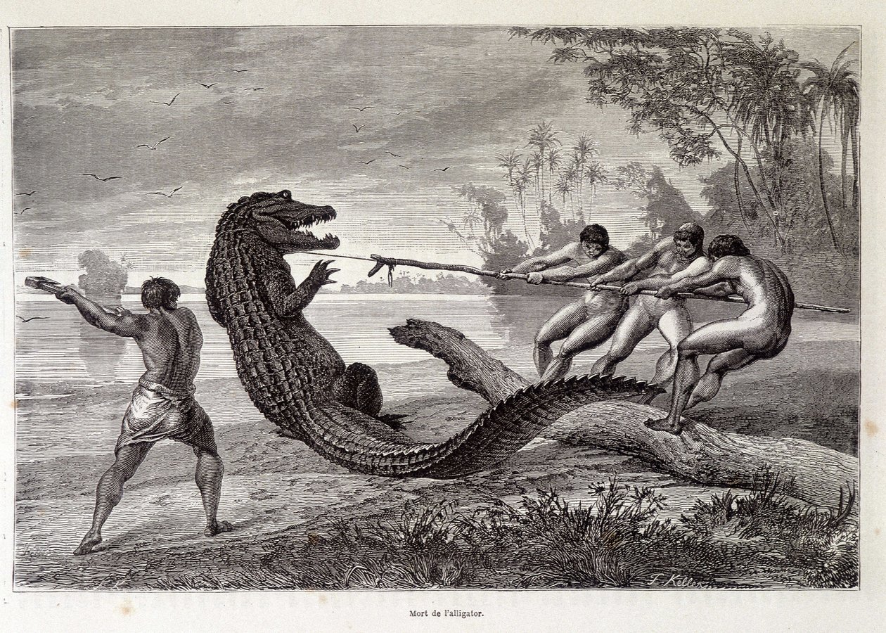 Polowanie na aligatory, Brazylia, „Dookoła świata”” 2. tydzień 1874. autorstwa French School