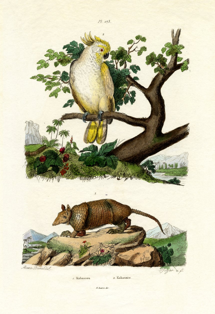 Pancernik, 1833-39 autorstwa French School