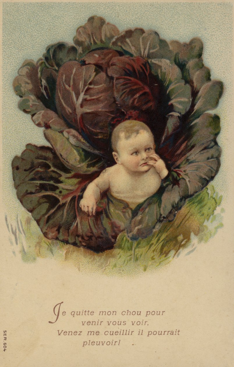 Dziecko wyłaniające się z kapusty (chromolitho) autorstwa French School