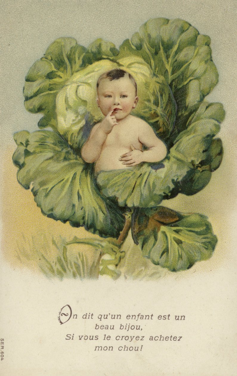 Dziecko w kapuście (chromolitho) autorstwa French School