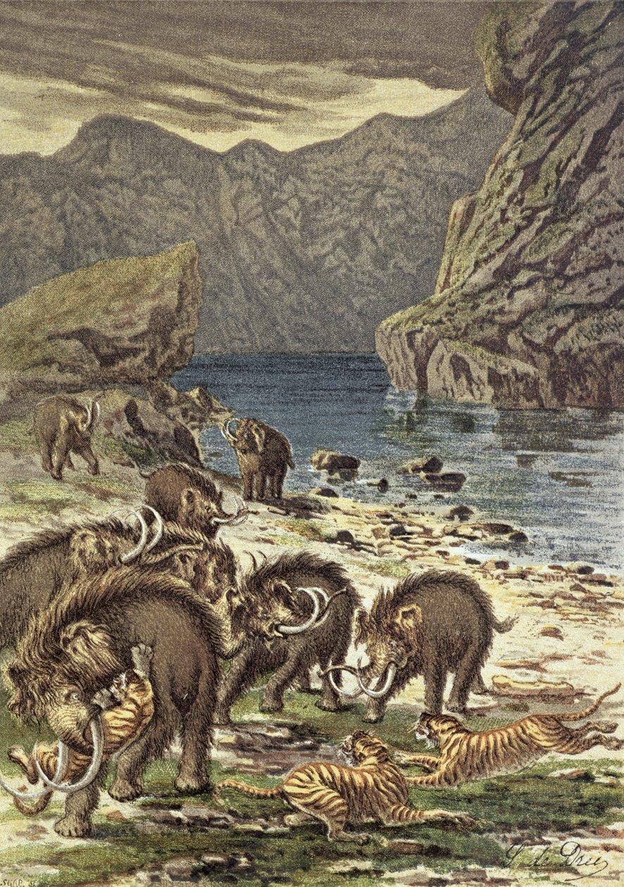Bitwa między mamutami a tygrysami szablozębnymi, z Le Monde Avant la Creation dHomme autorstwa Camille Flammarion, 1886 autorstwa French School