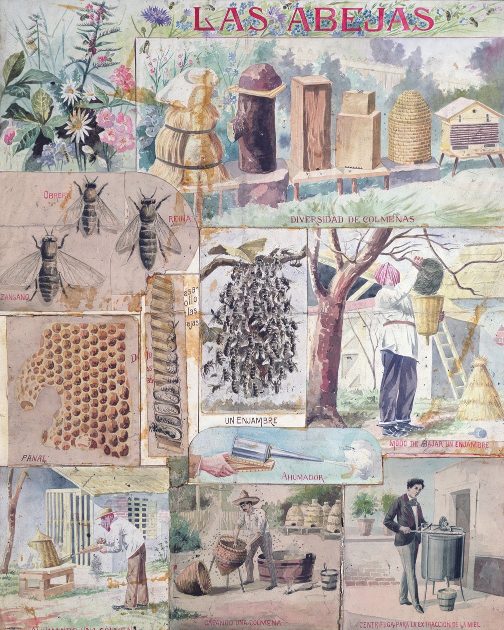Bee Culture, ilustracja wykonana we Francji przeznaczona do publikacji w Meksyku, ok. 1900 autorstwa French School
