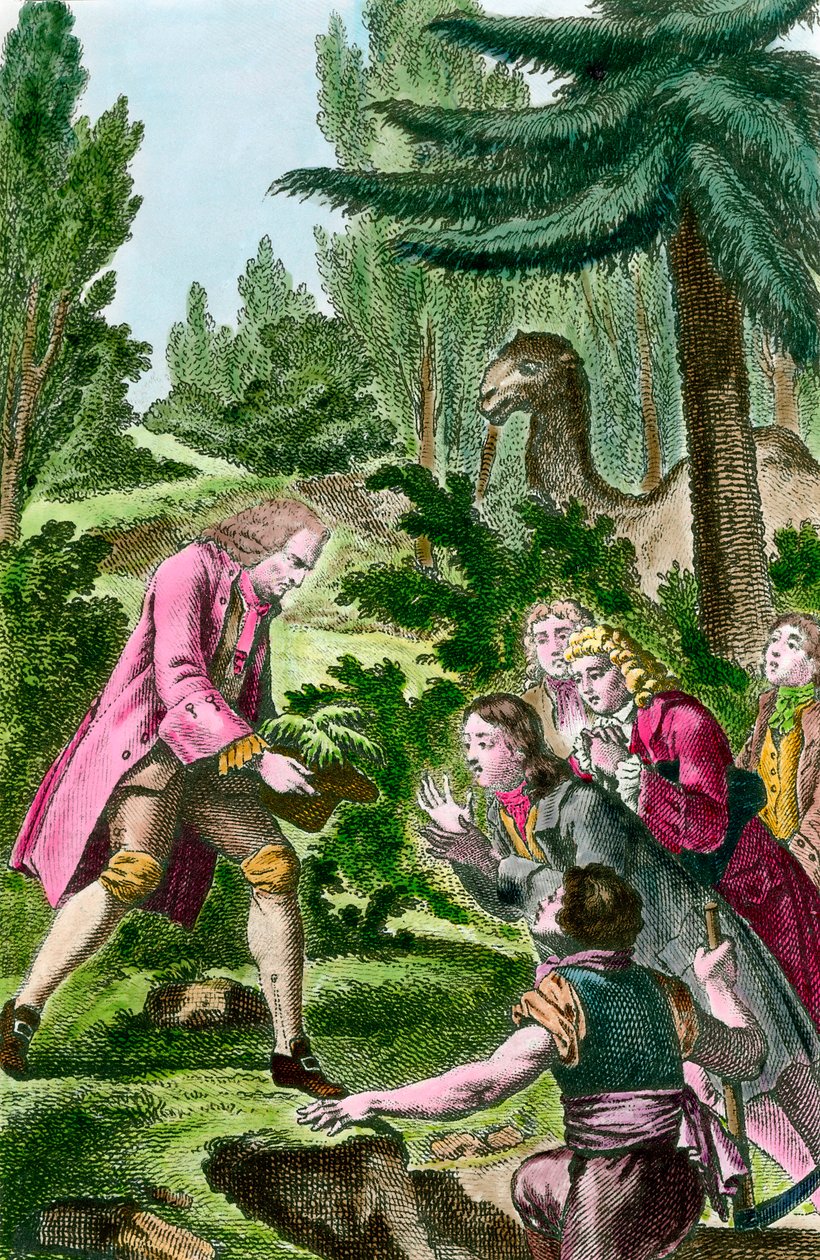 Bernard de Jussieu (1699-1777) sadzenie cedru z Libanu w ogrodzie roślinnym w Paryżu w 1734 roku. Grawerunek z XVIII wieku. autorstwa French School