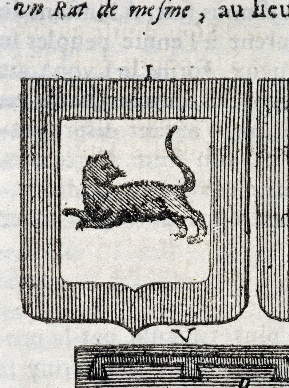 Blazon włoskiego pułku piechoty w „”La Vraye and Perfect Science of Arms or the Herbial Index”” Pierre Palliot autorstwa French School