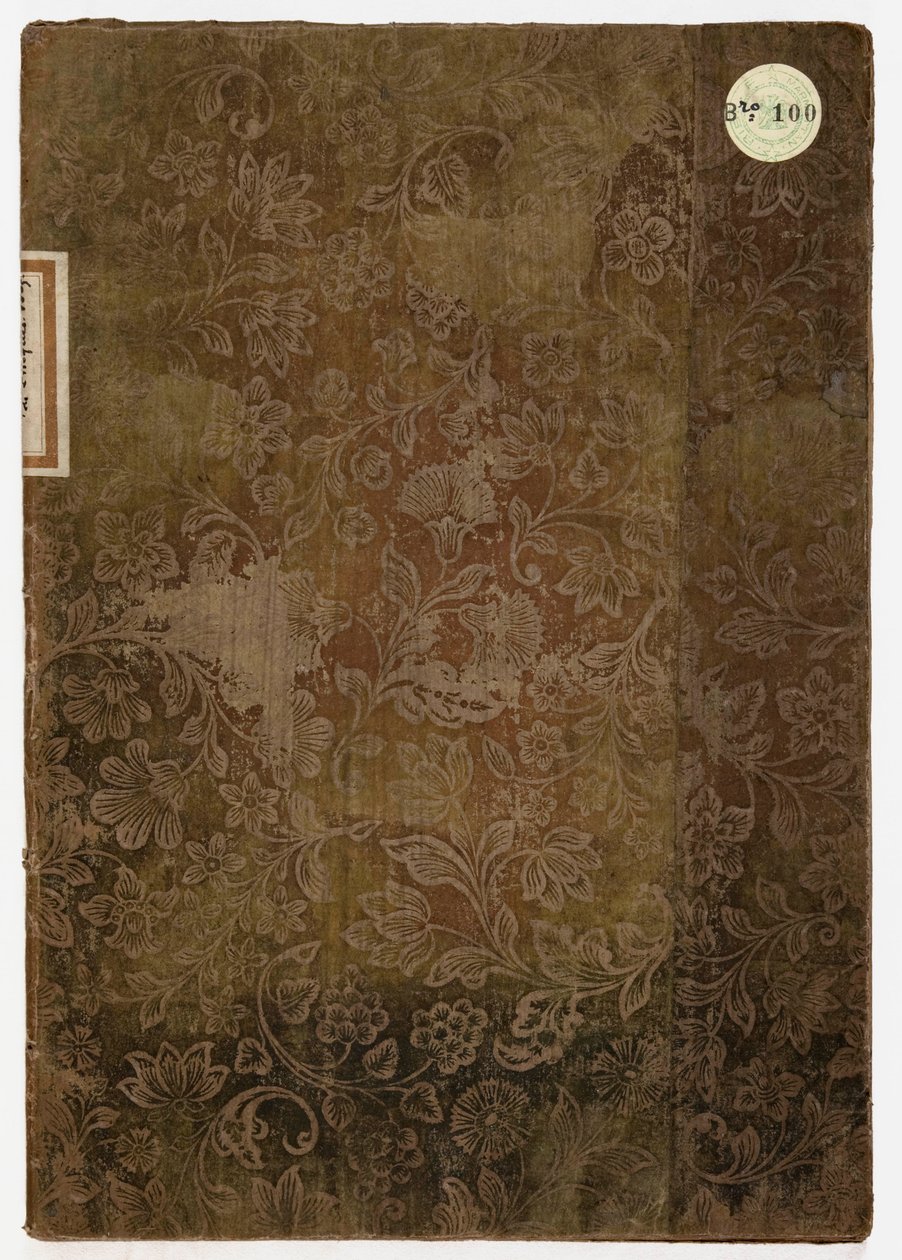 Księga etykiety pałacu książęcego w Lukce, Lukka, 1805 (tkanina haftowana i papier) autorstwa French School
