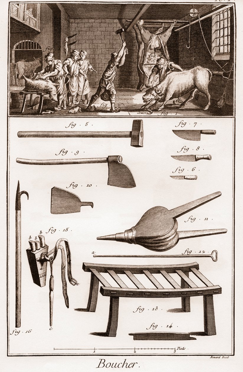 Boucher - Butchery - Butchery - „” The Great Encyclopedia lub Dictionnaire Raisonne des Sciences, des Arts et des Metiers” (Encyklopedia lub słownik nauk, sztuki i zawodów) autorstwa Denisa Diderota (1713-1784) i Jeana d