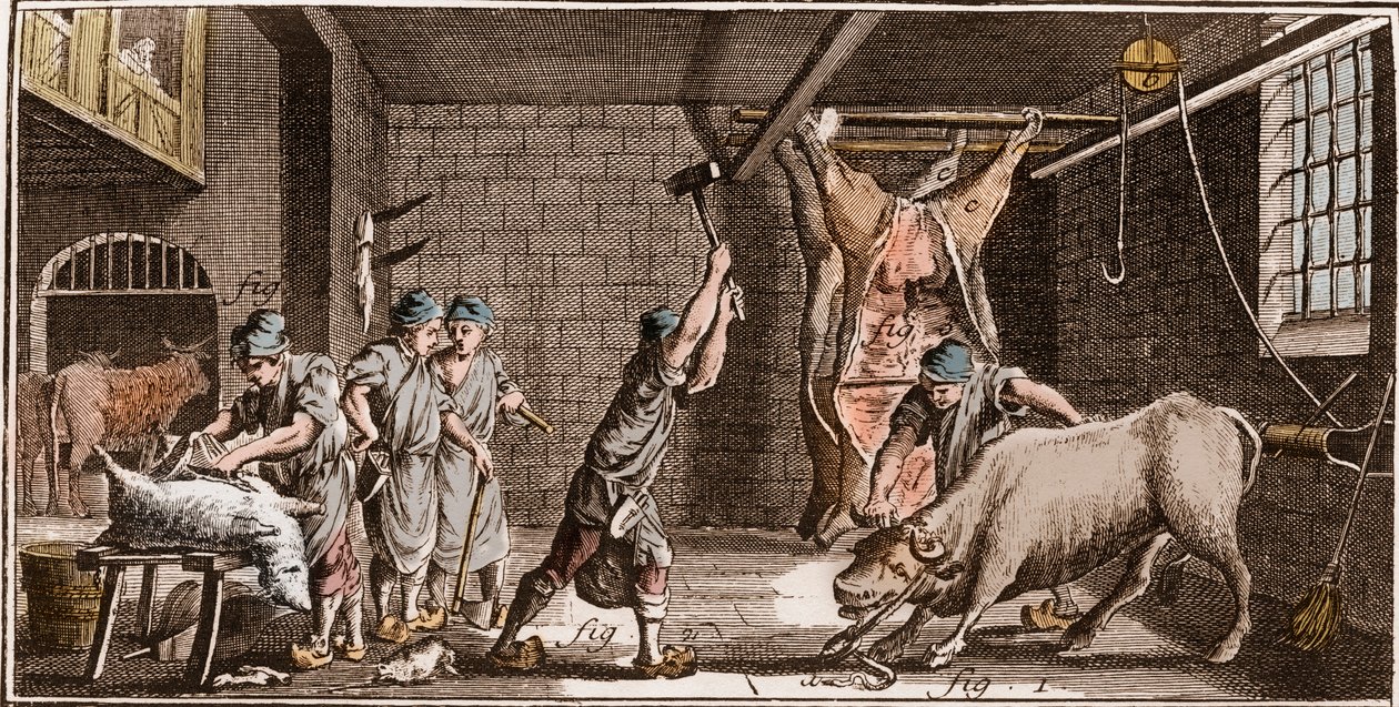 Boucher - Butchery - Butchery - „” The Great Encyclopedia lub Dictionnaire Raisonne des Sciences, des Arts et des Metiers” (Encyklopedia lub słownik nauk, sztuki i zawodów) autorstwa Denisa Diderota (1713-1784) i Jeana d