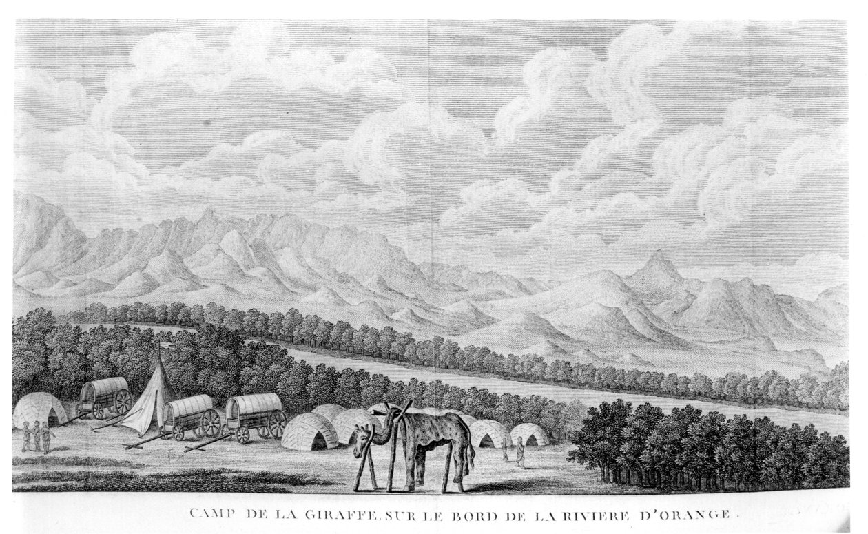 Camp Giraffe nad brzegiem rzeki Orange, z tomu 2 Second Voyage dans linterieur de lAfrique Francois Le Vaillant (1753-1824) wydanej w 1796 r. autorstwa French School