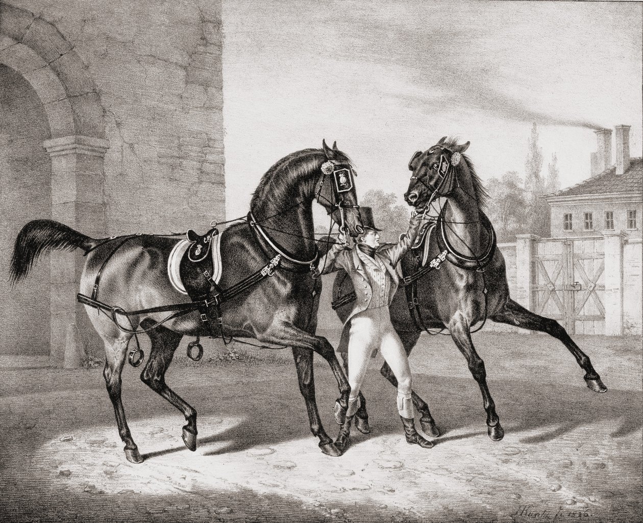 Konie powozowe dla króla Anglii, 1836 autorstwa French School