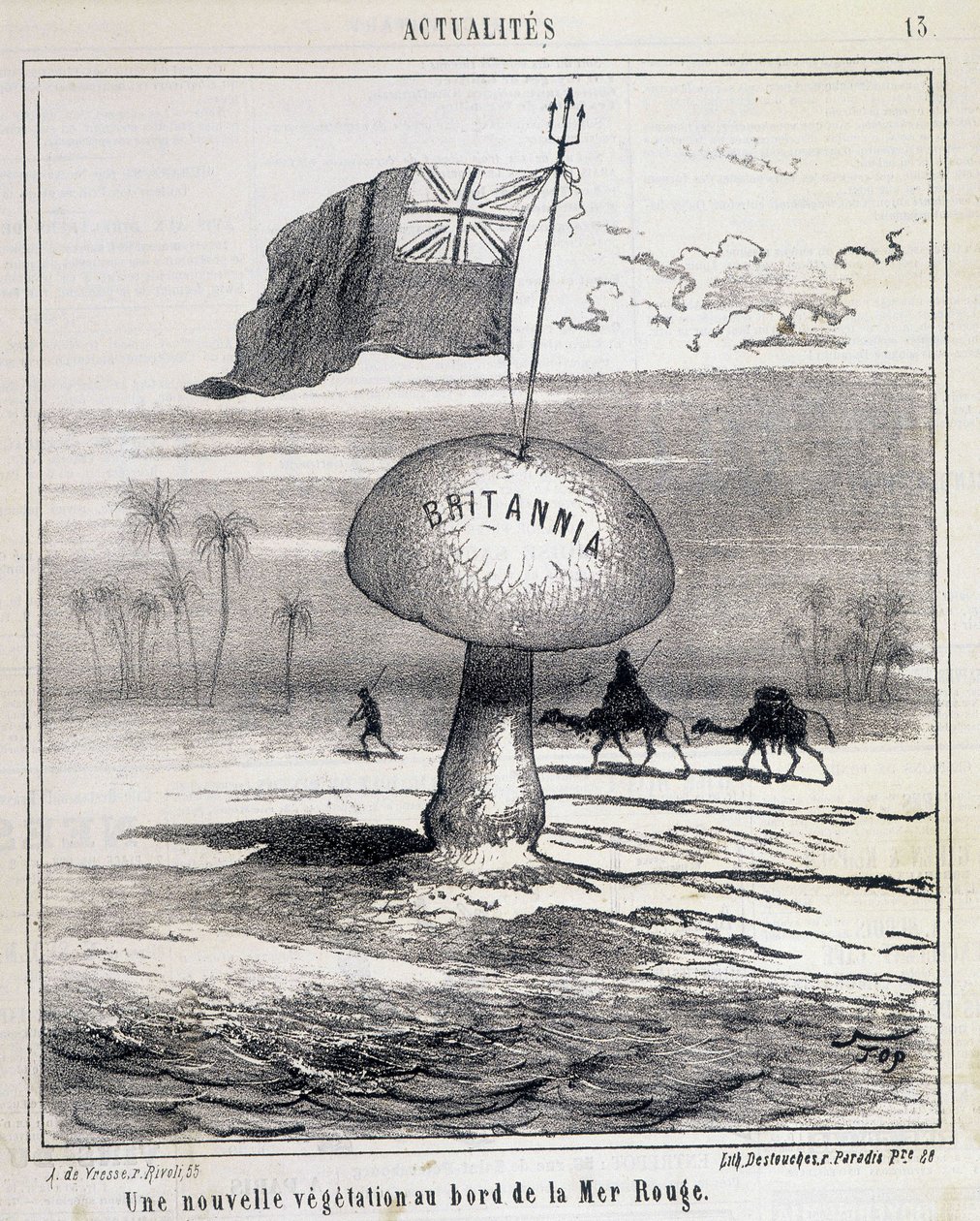 Rysunek: Nowa roślinność na Morzu Czerwonym (brytyjski grzyb kolonizujący Egipt) - 01.02.1868 autorstwa French School