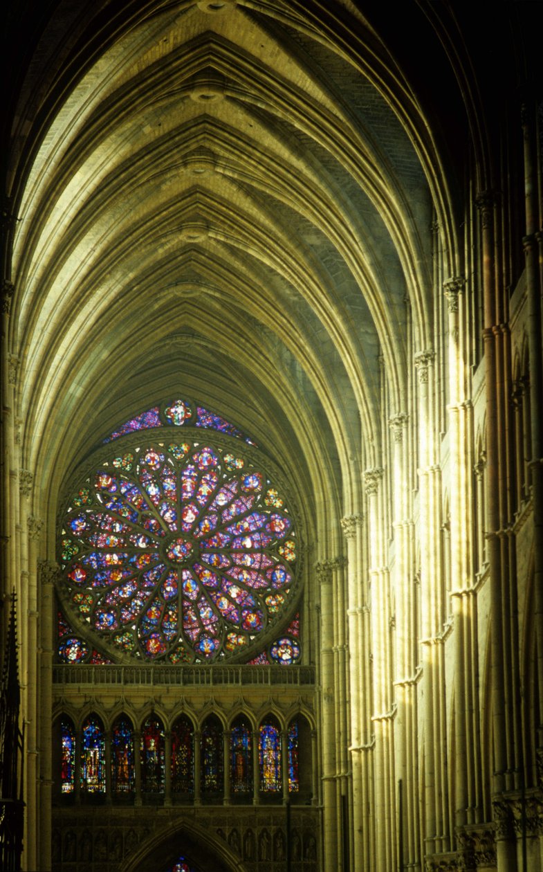Katedra w Reims autorstwa French School