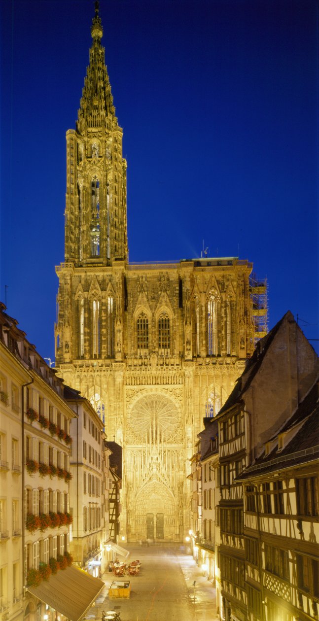 Katedra w Strasburgu (Bas Rhin 67) autorstwa French School