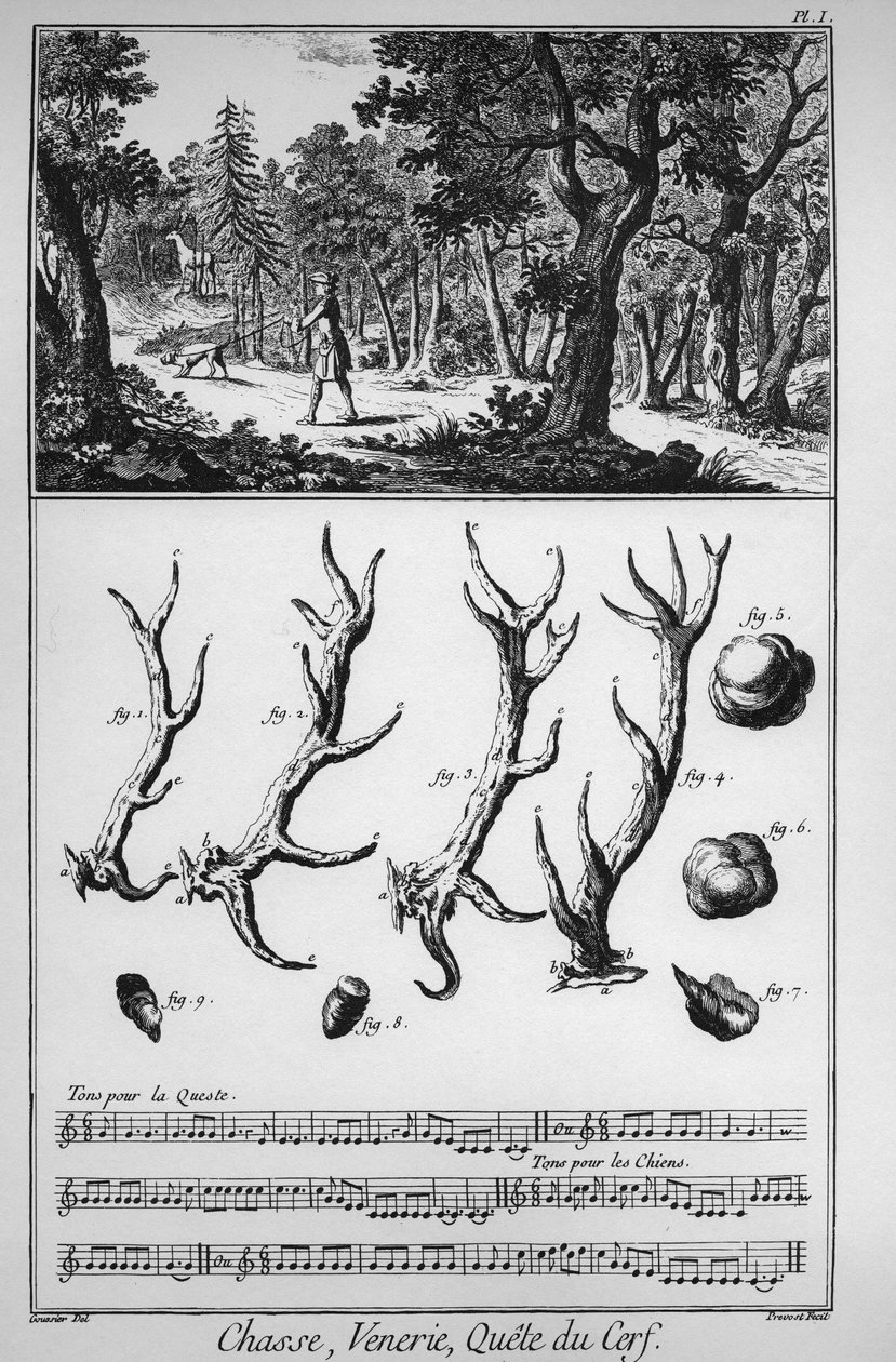 Polowanie - poszukiwanie jelenia - „” The Great Encyclopedia lub Dictionnaire Raisonne des Sciences, des Arts et des Metiers”” (Encyklopedia lub słownik nauk, sztuki i zawodów) autorstwa Denisa Diderota (1713-1784) i Jeana d Alemberta (1717-1783). autorstwa French School