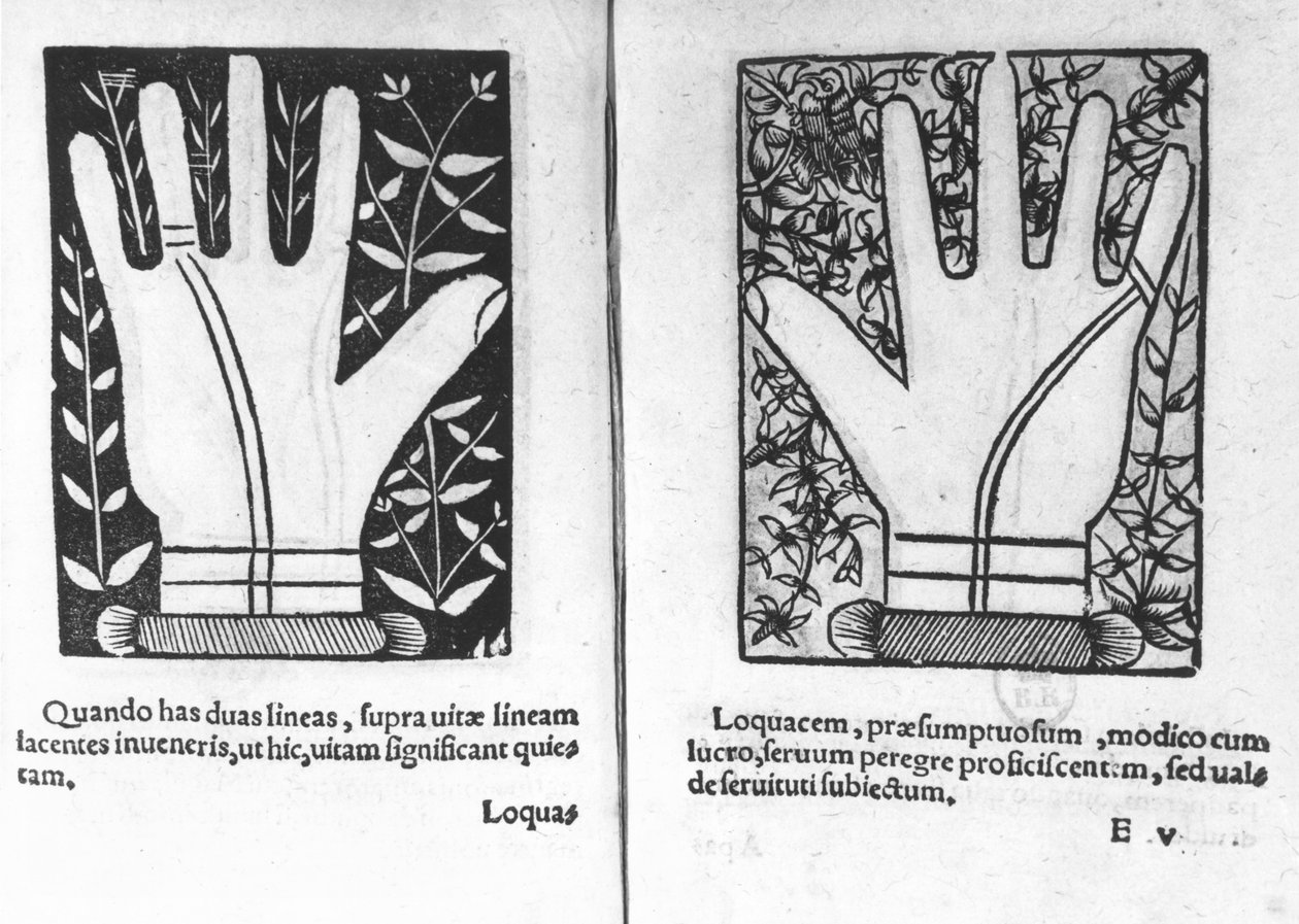 Chiromantyczne dłonie, ilustracja z Chiromatiae Principiis ... Anastasis autorstwa Bartolommeo della Rocca (Cocles) 1467-1504) 1555 autorstwa French School