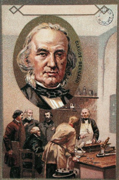 Claude Bernard (1813-78) (chromolitho) autorstwa French School