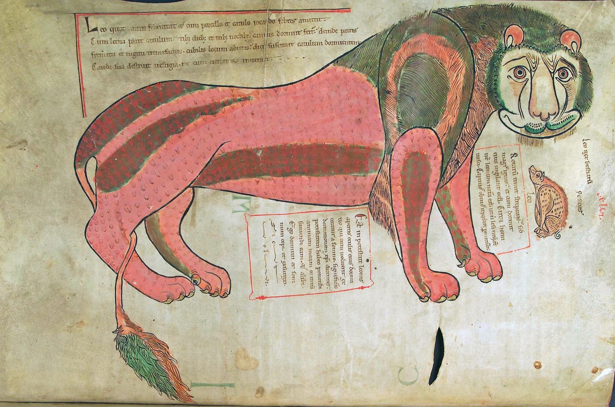 Dorsz. Guelfa. 1 Gud. łac. (37v), Lew i świnia, z Liber Floridus Lamberta de Saint-Omer c.1120 autorstwa French School