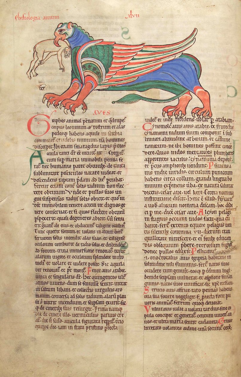 Dorsz. Guelfa. 1 Gud. łac. 39v, Gryf pożerający człowieka, z Liber Floridus Lamberta de Saint-Omer c.1120 autorstwa French School