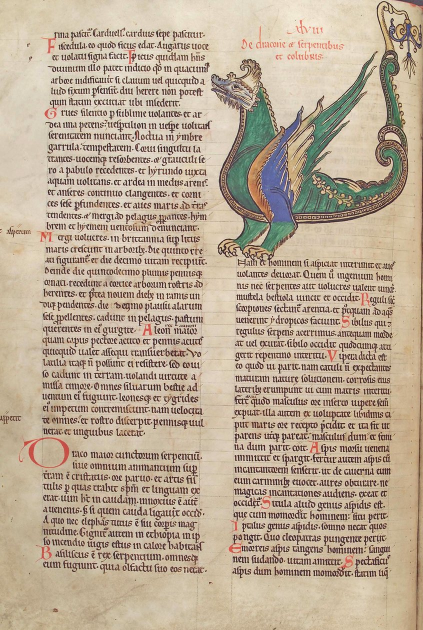 Dorsz. Guelfa. 1 Gud. łac. 40v, tekst z ilustracją smoka, z Liber Floridus Lamberta de Saint-Omer c.1120 autorstwa French School