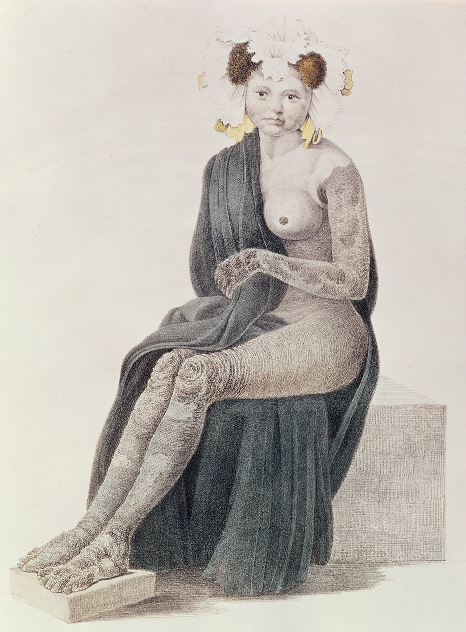 Wrodzona rybia łuska, z książki G.M. Olberów, 1830 autorstwa French School