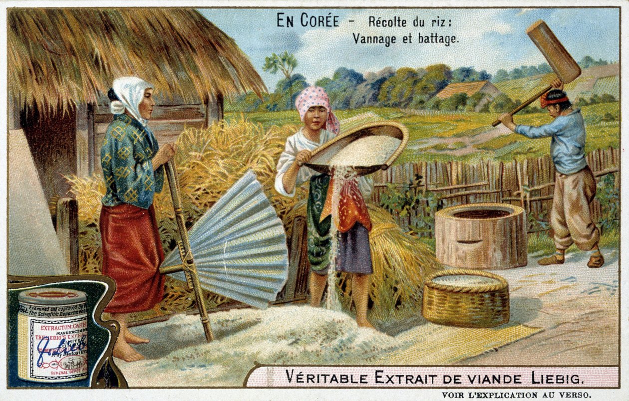Coree: zbiór ryżu, tkanie i omłot - chromo. Liébiga, v.1900 autorstwa French School