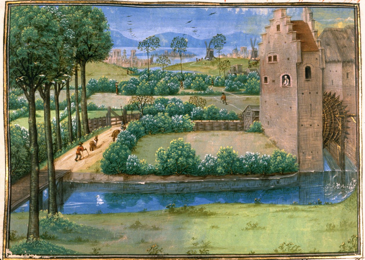 Cott Aug A V f.345v Flamandzki krajobraz z młynem wodnym na pierwszym planie i wiatrakiem w tle, z „Histoire Universelle”, c.1286 (welum) autorstwa French School