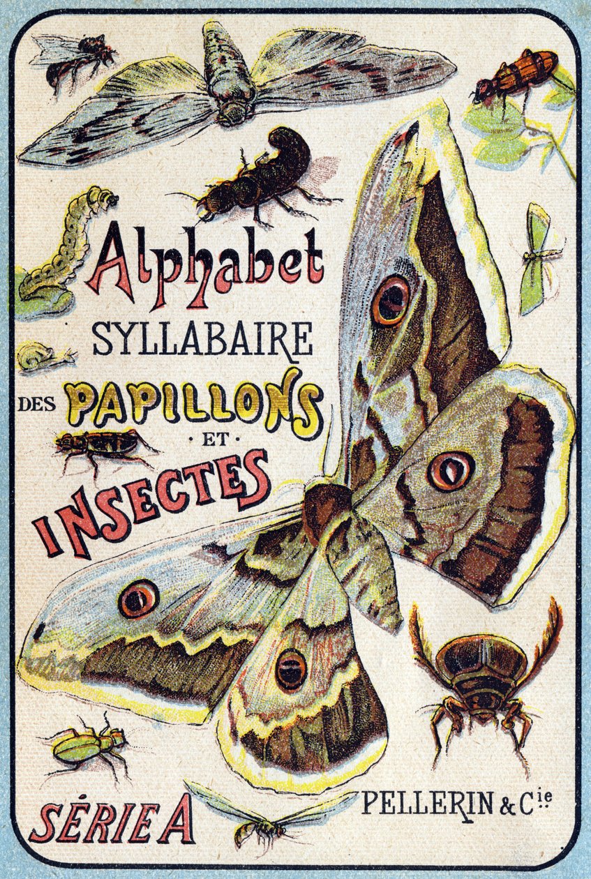 Okładka „Syllabary alfabetu motyli i owadów””. Serie A. Pellerin et Cie, drukarze-wydawcy, Epinal, koniec XIX wieku. Chromolitografie. Mały 8-stronicowy album reklamowy zawierający sylabariusz i obrazki wraz z tekstami opisowymi. D autorstwa French School