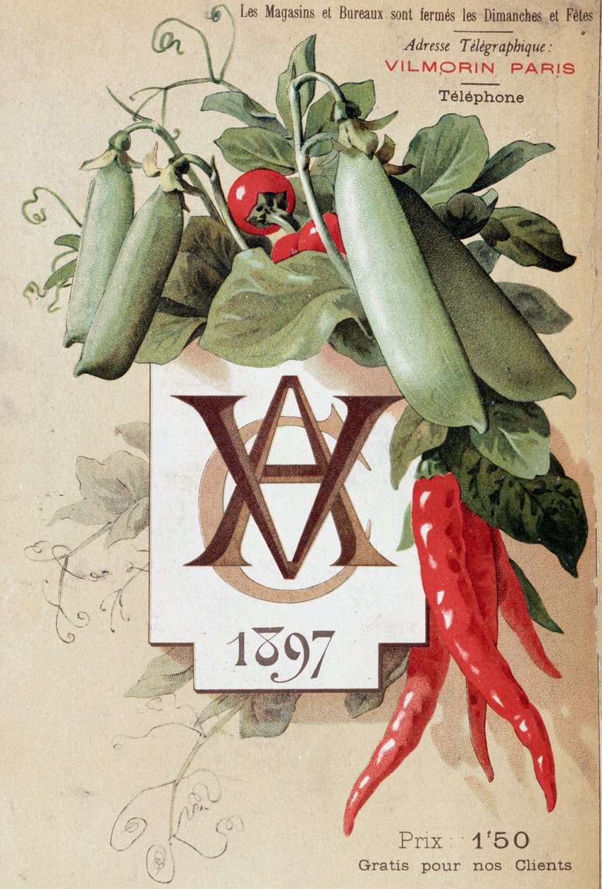 Okładka katalogu Vilmorin autorstwa French School