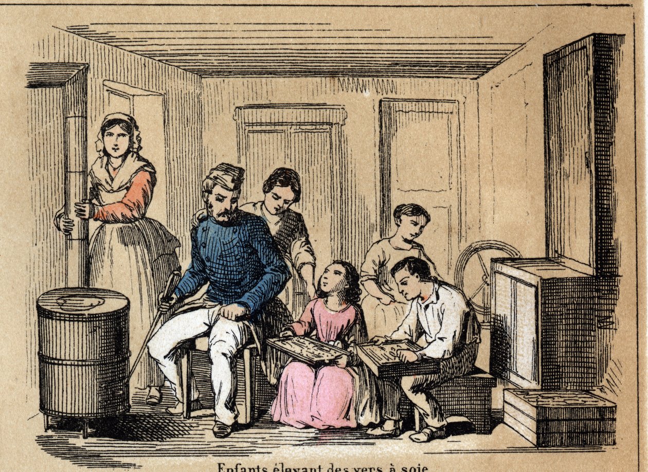 Opis kultury i wyroby z jedwabiu: dzieci hodujące jedwabniki. Talerz „” la soie”” w „” les Recreations instructives”” Obraz synoptyczny Julesa Delbrucka, rycina z 1860 r. Kolekcja prywatna. autorstwa French School