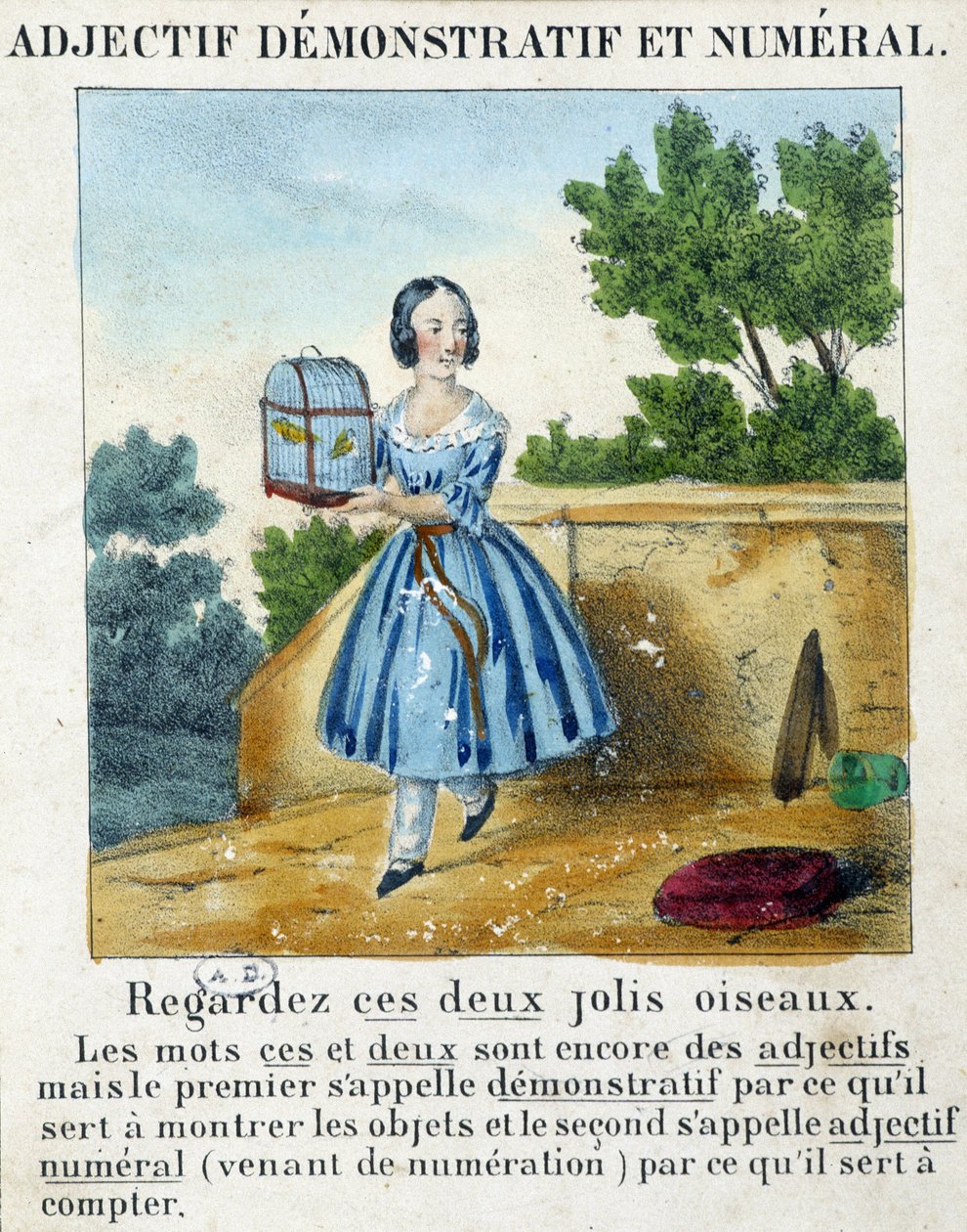 Przymiotnik wskazujący i liczbowy (dziewczynka niosąca klatkę z 2 ptakami) - w „La grammaire en images” autorstwa French School