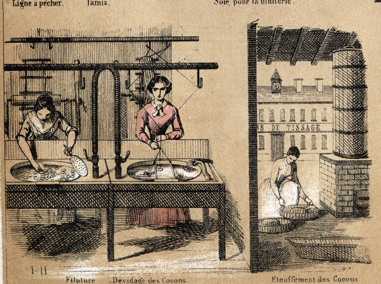 Opis upraw i wyrobów z jedwabiu: pracownicy przędzalnicy jedwabiu, usuwający lub przytłaczający kokony. Talerz „” la soie”” w „” les Recreations instructives”” Obraz synoptyczny Julesa Delbrucka, rycina z 1860 r. Kolekcja prywatna. autorstwa French School