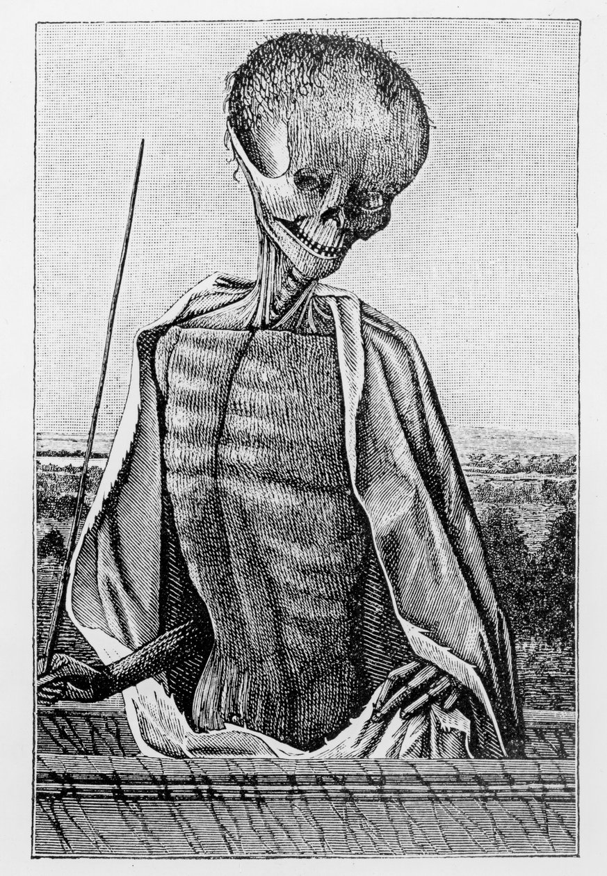 Doktor Śmierć, z Godzinki, ilustracja z Nauki i literatury w średniowieczu i renesansie, napisana i rytowana przez Paula Lacroix, 1878 autorstwa French School