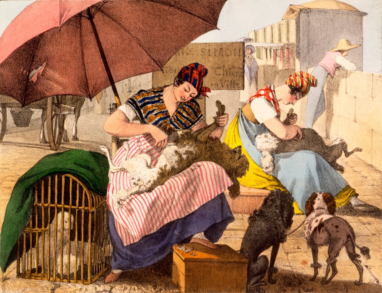 Strzyżenie psów, 1820 autorstwa French School