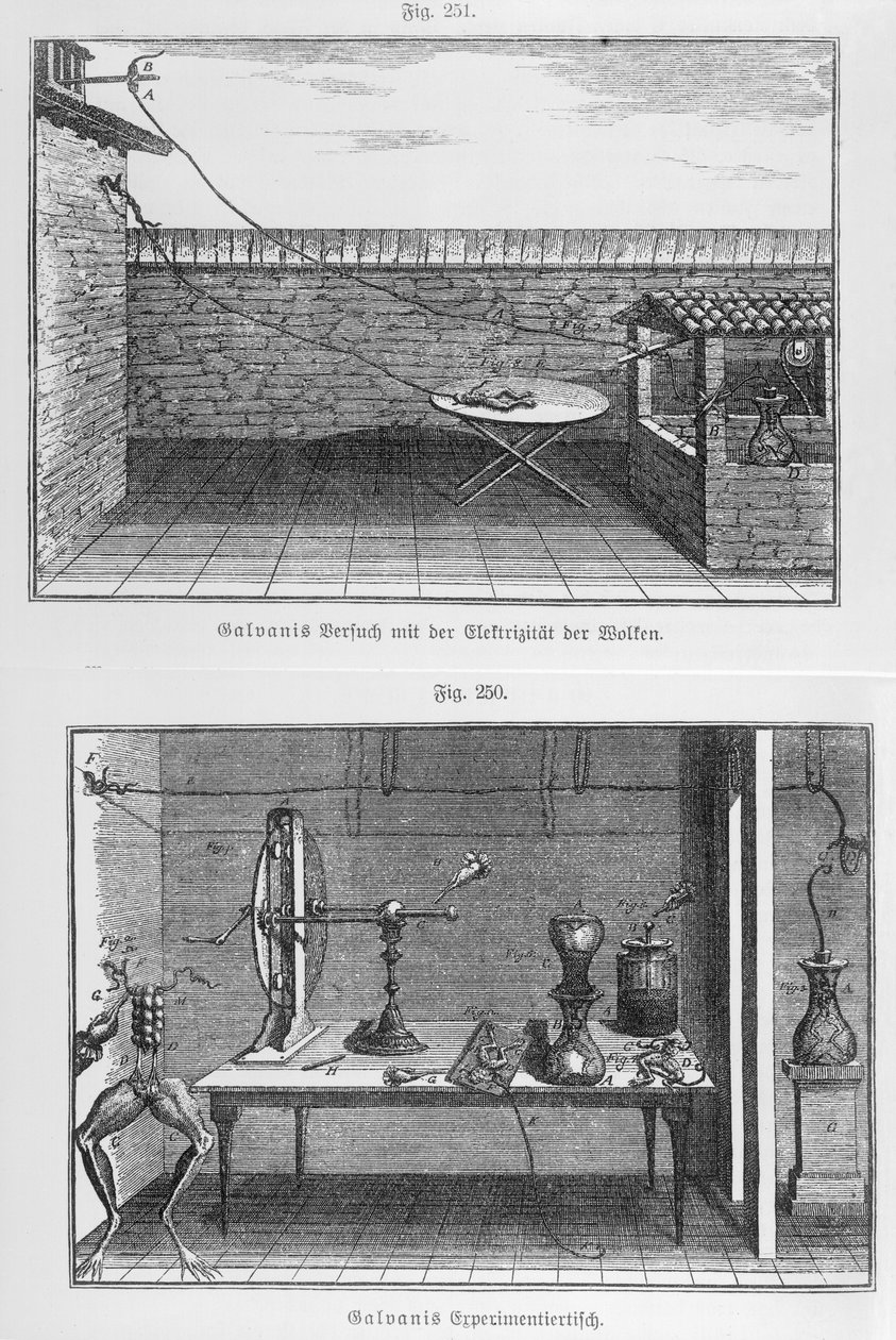 Eksperyment na żabach Louisa Galvaniego (1737-98) koniec XVIII wieku autorstwa French School