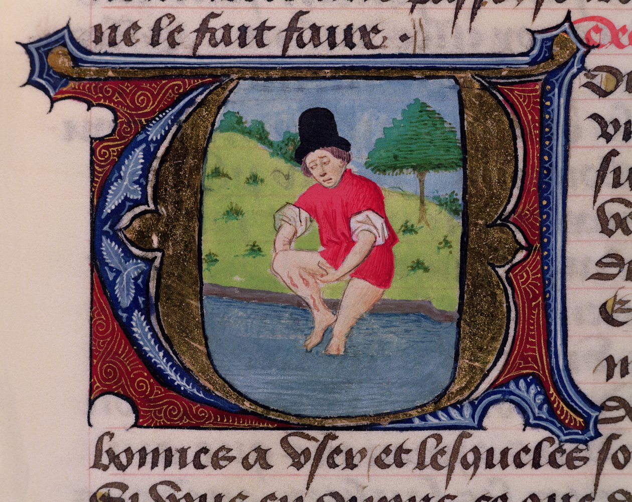 F.27v Wypłukiwanie, z Traite de Medecine autorstwa Hildebranda dr Florence, 1356 autorstwa French School