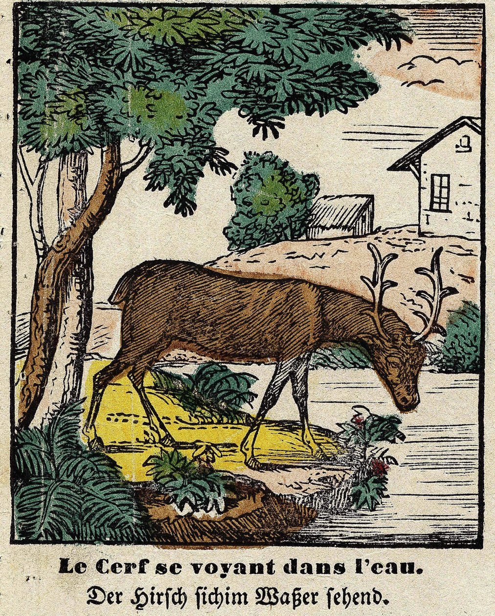 Fables de La Fontaine: jelenie widzące siebie w wodzie. Wizerunek Epinal, pierwsza połowa XIX wieku autorstwa French School