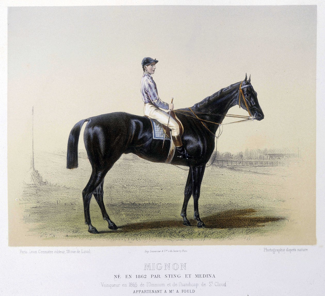 Słynny koń wyścigowy – w „Centaurze” 1866 autorstwa French School