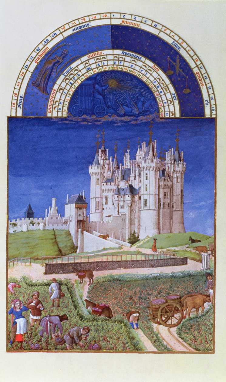 Faksymile września: zbiór winogron przez braci Limbourg, z Tres Riches Heures du Duc de Berry (oryginalna zob. 8441) autorstwa French School