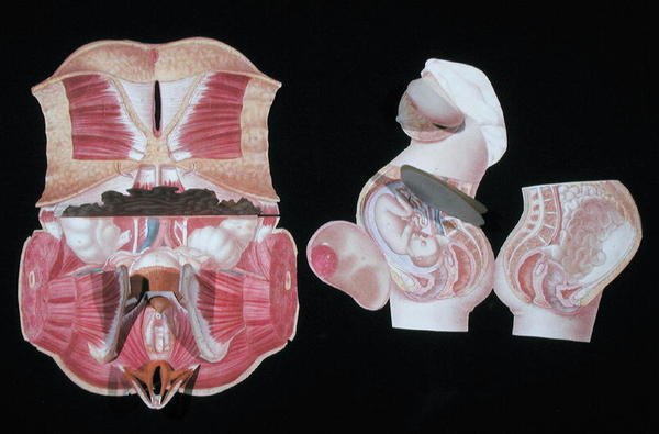 Kobieca figura anatomiczna z „La Generation Humane” G.J. Witkowskiego autorstwa French School