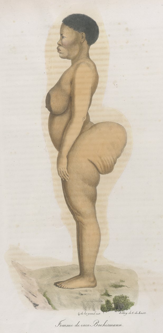 „Femme de race Bochismann”. Ta płyta najwyraźniej jest wizerunkiem Sary (Saartjie) Baartman (1789-1815), która była Khoisan sprowadzoną z Południowej Afryki, aby wystawić ją na publiczny pokaz na Piccadilly pod tytułem „Hottentot Wenus” z powodu tego, co b autorstwa French School