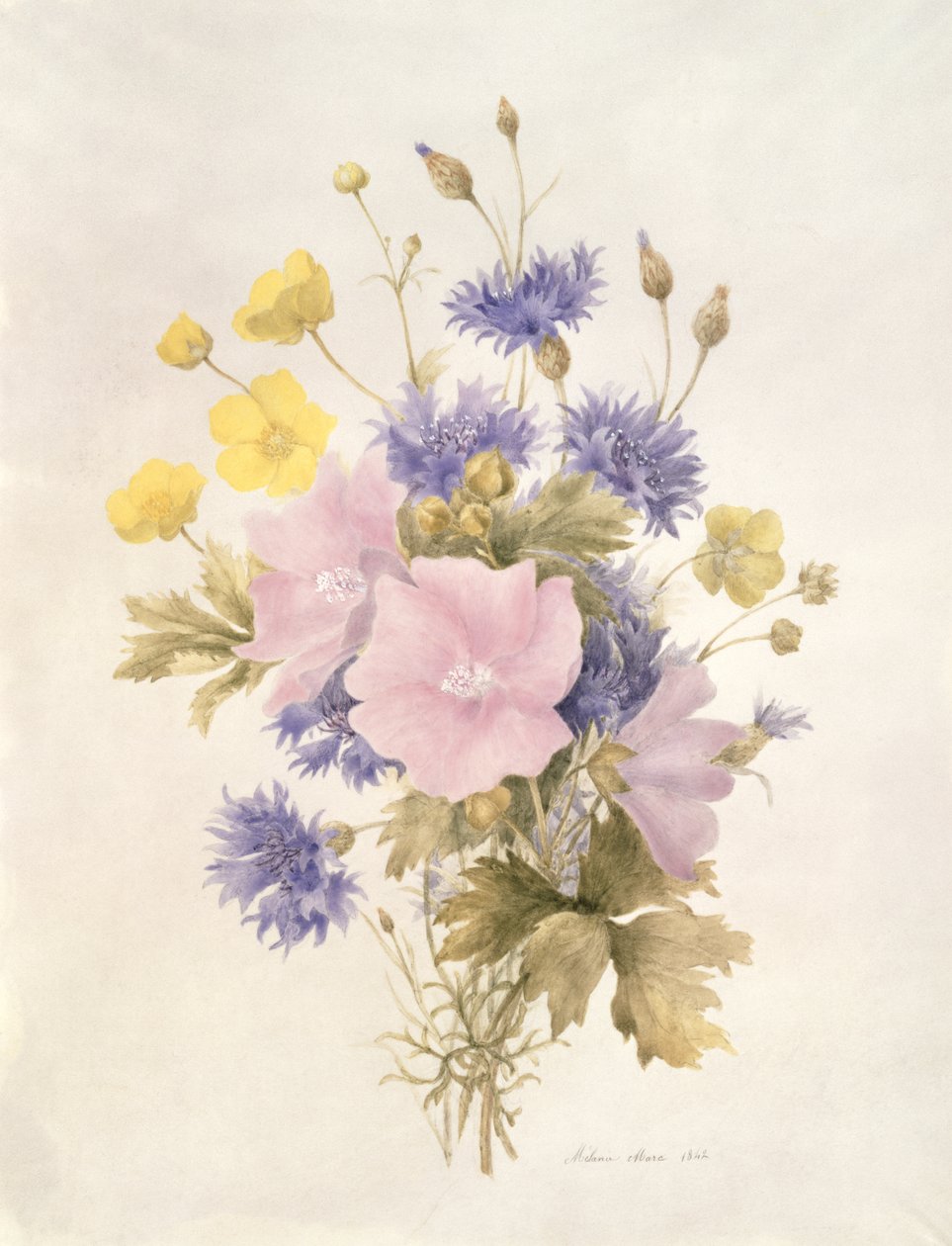 Kwiaty polne, 1842 (wc na papierze) autorstwa French School
