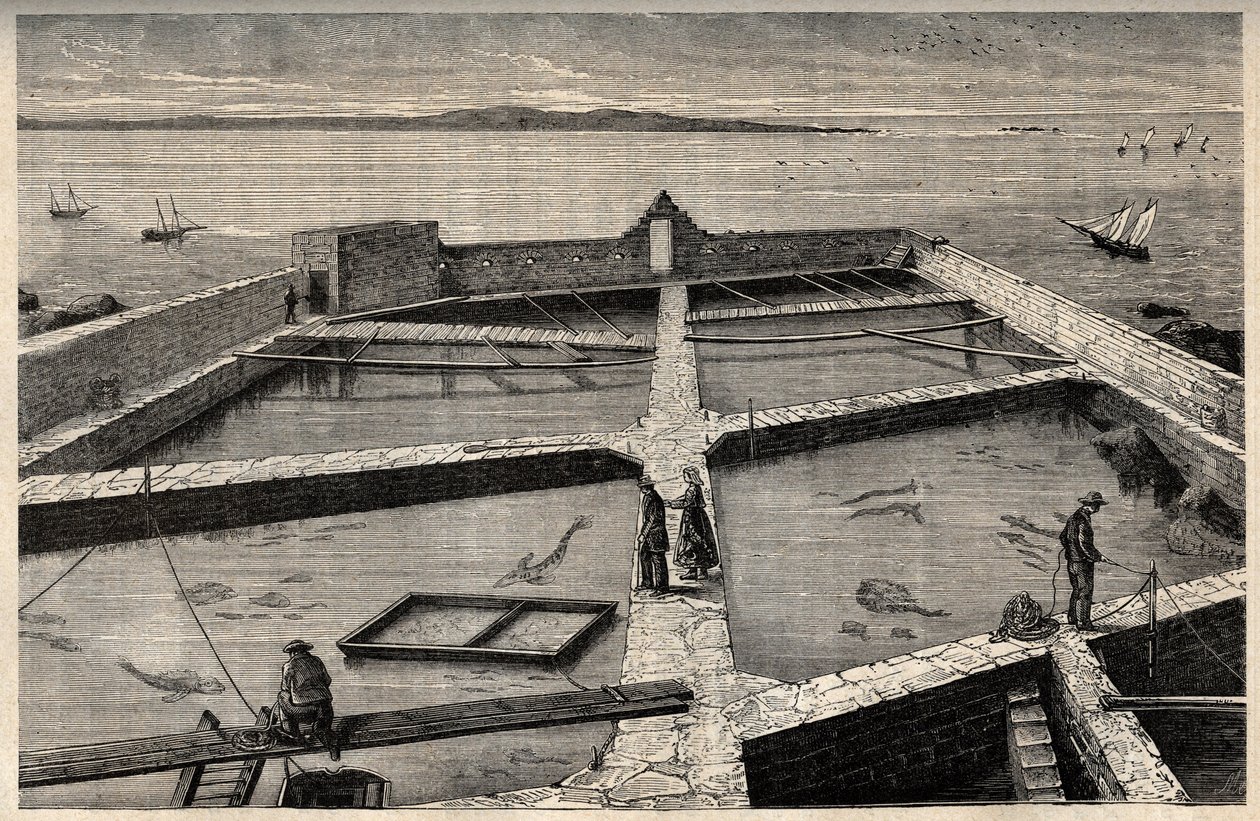 Hodowla ryb w Concarneau - Bretania - Establishment de pisciculture - Concarneau - Finistere - Bretania - grawerowanie w „” PATRIE” - OBRAZ OPIS FRANCJI W 6 TOMACH: LUCIEN HUARD - koniec XIX wieku autorstwa French School